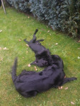Tommy en Lexy